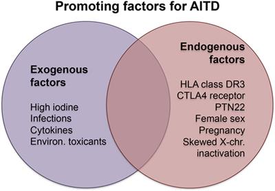 Thyroid Autoimmunity: Role of Anti-thyroid Antibodies in Thyroid and Extra-Thyroidal Diseases